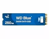 WD Blue SA510 SATA SSD 250 GB M.2 2280 (Lesen bis 560 MB/s, Schreiben bis 520 MB/s, Upgrade für PC/Laptop, Western Digital SSD Dashboard)