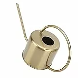 Lazmin112 Gießkanne mit langem Mund, Nicht rostig Haltbarer Streutopf Messing goldene Gießkanne Ornamente Retro Zimmerpflanzen Gießkanne Dekor