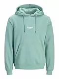 JACK & JONES Jjesoho Sweat Hood Noos