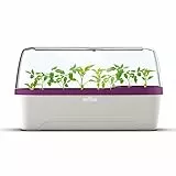 Romberg BoQube L Plus Mini Gewächshaus Anzuchtset & Pflanzkasten mit 10 selbstbewässernden Pflanzzellen und Bewässerungssystem, Zimmergewächshaus für Indoor Kräutergarten, 41×17×23, Weiß - Pflaume