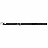 Trixie 19331 Basic Halsband, S–M: 33–39 cm/16 mm, schwarz