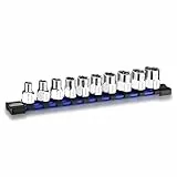 WORKPRO 3/8' Steckschlüsselsatz 10-teilig, Sechskant Stecknuss Set 7-17 mm aus Cr-V Stahl, mit PVC Aufbewahrungshalter, Steckschlüssel Set für Autos und Maschinenreparaturen