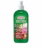 Substral Schild- & Wolllaus Schädlingsfrei Careo Eco, 300 ml, gegen Schild- und Wollläuse, Spinnmilben, Blattläuse, Weiße Fliege