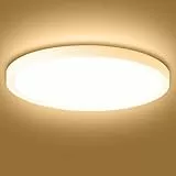 Litglobe LED Deckenleuchte Flach 12W,1200LM Rund Deckenlampe,3000K Warmweiß LED Panel Lampen Deckenlampen,Modern Lampe Decke für Wohnzimmer Schlafzimmer Küche,Ø18CM