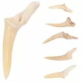 BESTonZON 6 Stück Haifischzahn Halskette für Jungen & Männer - Handgefertigter Haifischzahn Anhänger Set - Cooles Surfer Schmuck Set - Natur Fossilien Halsketten für Kostüm & DIY Accessoires