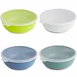 Rotho Tresa 4er Set Schüssel 1.02 l mit Deckel, lebensmittelechter Kunststoff BPA-frei, Mehrfarbig