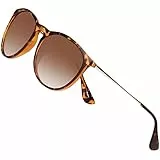Arjien Vintage Polarisierte Sonnenbrille Damen Herren UV400 Schutz Große Runde Brille mit Ultraleicht TR90 Rahmen