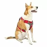 Kurgo Journey Air – Reflektierendes Hundegeschirr für Running, Wandern und Trekking – Reise-Geschirr – Rot, XL