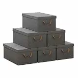 WOLTU Faltbare Aufbewahrungsboxen 6 Stück, Stoffboxen mit Deckel, Aufbewahrungskörbe für Kleidung, Bettdecke, Spielzeug, Grau, 48x29x20cm