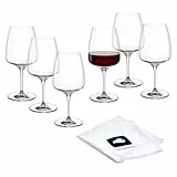 LEONARDO HOME Rotweingläser CESTI (6er Set) inkl. Poliertuch • Spülmaschinenfeste Rotwein-Gläser (500 ml) • Stoßfest & Alltagstaugliche • Rotwein-Kelche mit niedrigem Stiel • Weinglas Cesti • 040971