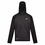 Regatta Andreson VIII Hybrid-Jacke für Herren mit Extol-Stretchmaterial und leichter Isolierung, perfekt zum Wandern, Spazierengehen und für Outdoor-Aktivitäten