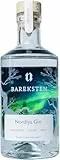 Bareksten | Nordlys Gin | The Spirit of The Northern Lights | Frisch & würzig | Kleinstchargen aus Norwegen | 41% vol. | 500ml