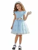 PATPAT Mädchen Kleid Festlich Ärmellos, Mädchen Tüll Prinzessin Partykleid Blumenstickerei, Ballkleid Tutu Kleid für Hochzeit, Geburtstag, Fest, Taufe, Bankett, Feiertag, Gr.92-140