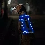 Jewyow Hundegeschirr Leuchtend, Wiederaufladbare LED Hundegeschirr, Led Geschirr für Hunde mit Weicher Griff, 3 Einstellbare Modus, Wasserdicht für Mittelgroße, Große Hund, Blau-XL