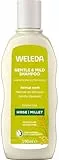 WELEDA Bio Hirse Pflege-Shampoo, Naturkosmetik Duschgel für die sanfte Reinigung von Haar und Kopfhaut, Pflegedusche für natürlichen Glanz und Spannkraft der Haare (1 x 190 ml)