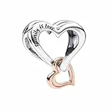 SpetngSake 1 Stück Charms Herz,Armband & Beads für Damen,Mode Moments Charms Kompatibilität,Herzbändern Charm Anhänger für Valentinstag,Jeden Anlass, Wie Weihnachten,Muttertag,Geburtstag