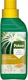 Pokon Kakteen-Flüssigdünger 250ml - Flüssige Spezialnahrung für alle Kakteen & Sukkulenten, Spezialdünger mit Magnesium (MgO) und Eisen (Fe), grün