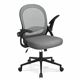 naspaluro Bürostuhl, Ergonomischer Schreibtischstuhl mit Atmungsaktiv Netzbespannung, Hochklappbare Armlehnen, Höhenverstellbarer, Computerstuhl, Leichter Stuhl, 360° Drehstuhl, Dunkelgrau