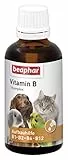 BEAPHAR - Vitamin B Komplex Für Hunde, Katzen, Nager, Vögel - Vitamin-Aufbaukur B1, B2, B6, B12 - Unterstützt Die Abwehrkräfte - Appetitanregend - Steigert Das Wohlbefinden - 50 ml