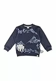 Sigikid Sweatshirt Polar Friends für Kinder Jungen
