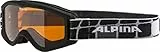 Alpina Skibrille, Black matt, One Size
