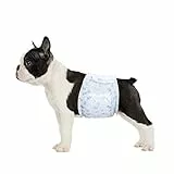 Flying Paws Rüdenwindel,24 Stück S Einweg-Hundewindeln für Rüden,Super Saugfähig Hundewindeln für kleine Rüden,Passform 30-48cm