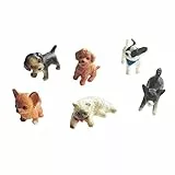 Toyvian 6 stücke Mini cat Dekorationen Hund Figuren Tiere Miniatur pet Spielzeug Ornamente
