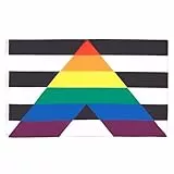 AZ FLAG - Flagge Zum Homo-Hetero-Treffen - 150x90 cm - Gay Straight Alliance Fahne 100% Polyester mit Messing-Ösen - 110g
