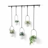 Umbra Triflora Vase, Hängeblumentopf, Wandvase, Blumenampel für Wand- und Deckenanbringung, 5er-Set, Weiss, 5 Töpfe