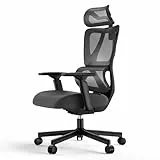 ProtoArc EC100 Ergonomischer Bürostuhl – Computer-Schreibtischstuhl mit 10 cm dickem Federkissen, Lendenwirbelstütze, Verstellbarer Armlehne & Kopfstütze, Mesh-Drehstuhl für Home-Office, Schwarz