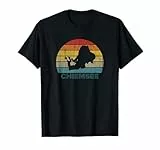 Chiemsee Sonnenuntergang Retro Sonnenuntergang Vintage Urlaub Sommer T-Shirt