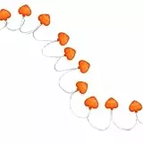 Romantische LED-Herz-Lichterkette, 1,8 m, 40 Lichter, batteriebetrieben, inklusive Rosen-Fotoclips, ideal für Hochzeiten