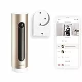 Netatmo Smarte Überwachungskamera Innen mit Wandhalterung, WLAN, Full HD, Bewegungserkennung, Nachtsicht,bis zu 32 GB lokaler Speicher auf MicroSD-Karte, Live Übertragung, Ohne Abonnement, NSC-AMZ