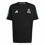 adidas Men's Mercedes - AMG Petronas Formula 1 Team DNA Tee, Black/semi Mint Rush, L