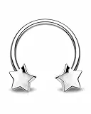 OUFER Body Piercing Helix Piercings Ohrringe Ring Hoop Bar 16G 316L Chirurgenstahl Daith Rook Tragus Ohrring Creolen Stern Septum Ring Piercing Schmuck