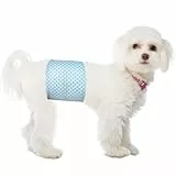 Einweg-Hundewindeln für Rüden, Flying Paws Windeln für Hunde, Rüdenwindel Passend für Taille 30-45 cm, S, 20 Stück