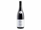 Canti - Italienischer trockener Barolo Rotwein, Nebbiolo-Trauben aus Piemont, Reichhaltiger dunkler Beerengeschmack mit einem robusten reichen Geschmack, 1x750 ml
