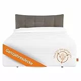 sleepling Energiespardecke Bettdecke 135x200, Ganzjahresdecke mit 840 gr. Füllgewicht, medium Ganzjahresbettdecke, 100% Mikrofaser, Ökotex, 60 Grad waschbar
