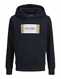 JACK & JONES JUNIOR Herren Jjhayato Sweat Hood Jnr, Sky Captain, 140