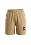 THE NORTH FACE Herren Box NSE Light Regular Shorts, Khaki Stone, L