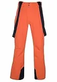 Protest Herren Oweny Skihose/Schneehose, Sonnenstaub, XL