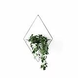 Umbra Trigg Wandvase & Geometrische Deko - Übertopf Für Zimmerpflanzen, Sukkulenten, Luftpflanzen, Kakteen, Kunstpflanzen und Mehr, Weiss/Nickel, Gross