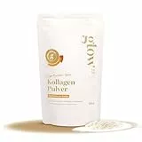 Glow25® Collagen Pulver Pumpkin-Spice [450g] - Kollagen Hydrolysat - Peptide Typ 1 und 3 - Gute Löslichkeit