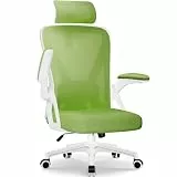 Airchros Bürostuhl,Bürostuhl Ergonomisch mit Verstellbarer Kopfstütze,Armlehnen und Lendenwirbelstütze, Schreibtischstuhl Drehstuhl Wippfunktion bis 135°,Chefsessel Rückenschonend,belastbar 150kg