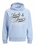 JACK & JONES JUNIOR Jjelogo Sweat Hood 2 Col Aw25 Noos Jnr