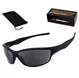 HELLY® - No.1 Bikereyes® | Bikerbrille, Motorradbrille, Motorrad Sonnenbrille | beschlagfrei, winddicht, bruchsicher | TOP Tragegefühl (smoke [fender 2.0])