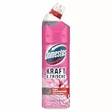 Domestos Kraft & Frische WC Gel Floral Fresh Reinigungsmittel mit frischem Blumen-Duft für hygienische Sauberkeit 750 ml 1 Stück