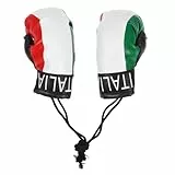 VOSAREA Mini Boxhandschuhe Anhänger: 1 Paar Autospiegel Miniatur Boxhandschuh Italien Mini Gloves Dekoration für Rückspiegel Accessoires