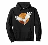 Harry Potter Hedwig Moon Pullover Hoodie