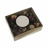 Trimits BCB2335 Rosskastanien, Natur, 18 x 30 x 20mm